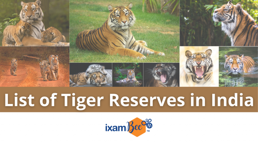 Tiger Reserve In India