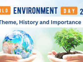environment day 2024