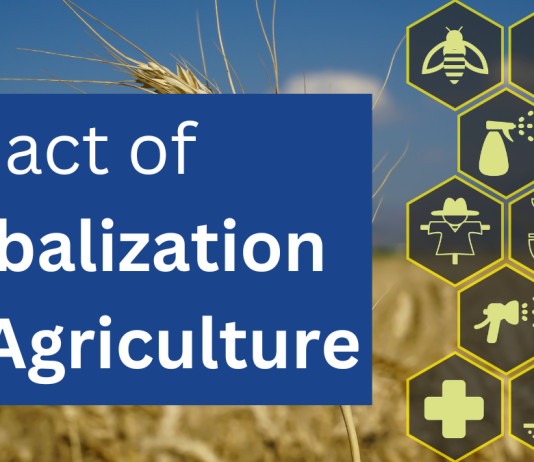 Impact of Globalization on Agriculture