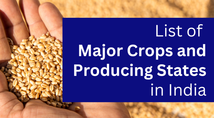 Major Crops in India and Their Producing States: Detailed List Crops in India